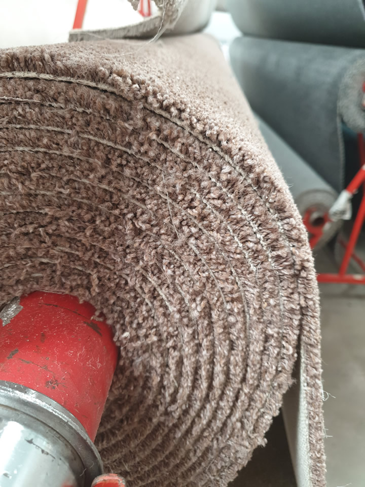 Elegance - Image 3